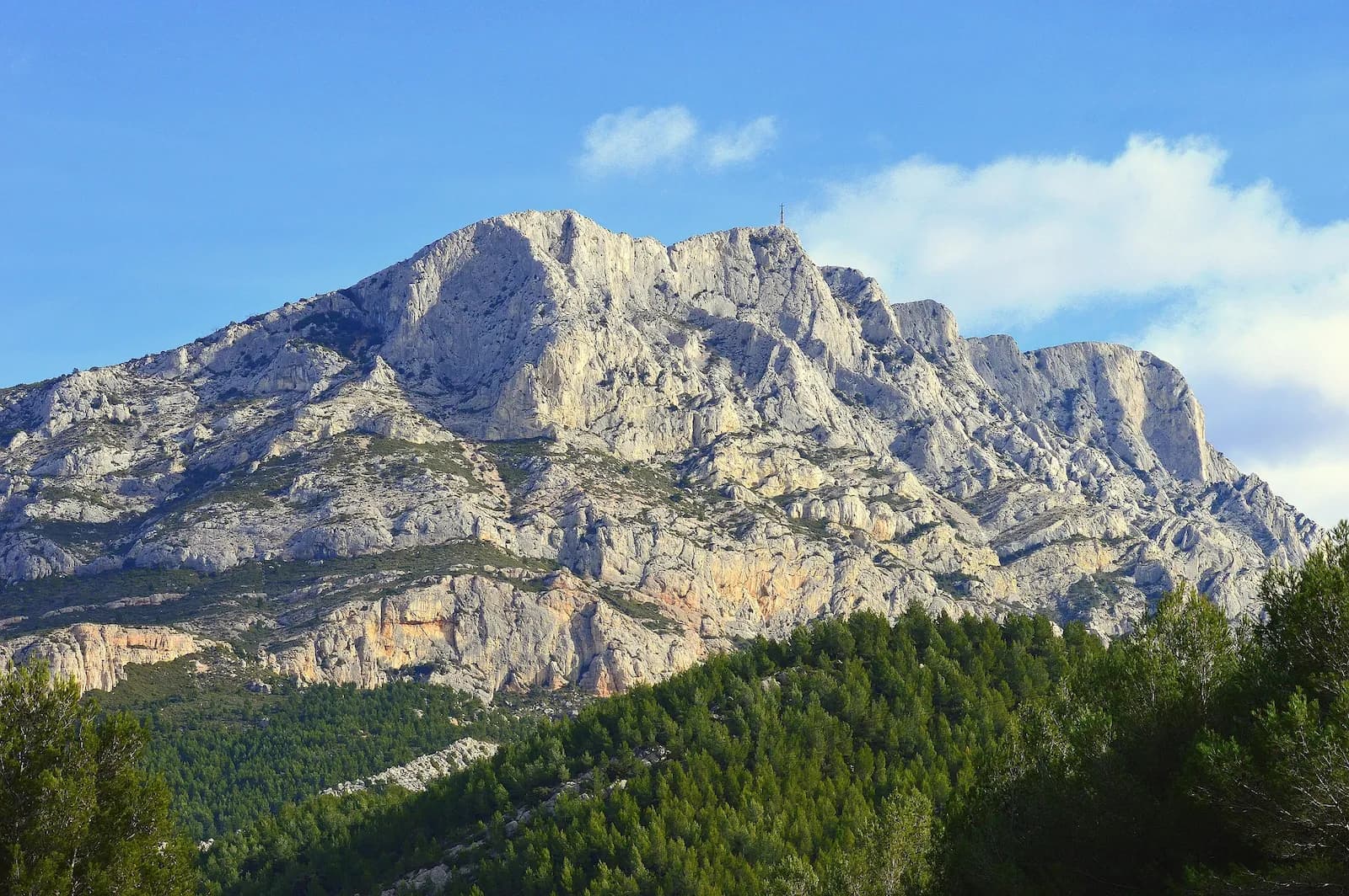 Photo du projet de reforestation : Forêt méditerranéenne en Provence