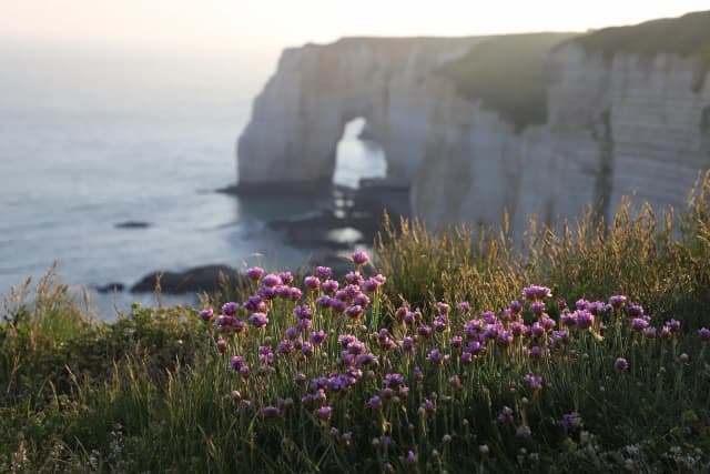 Projet écologique en Normandie