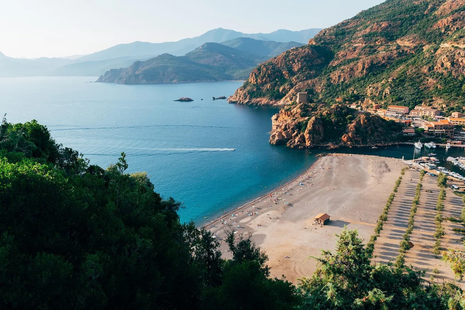 Photo du projet de reforestation : Reboisement en Corse