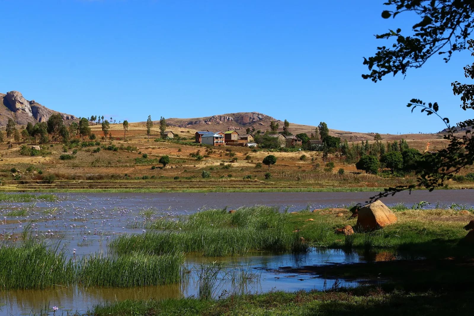 Photo du projet de reforestation : Reforestation à Madagascar