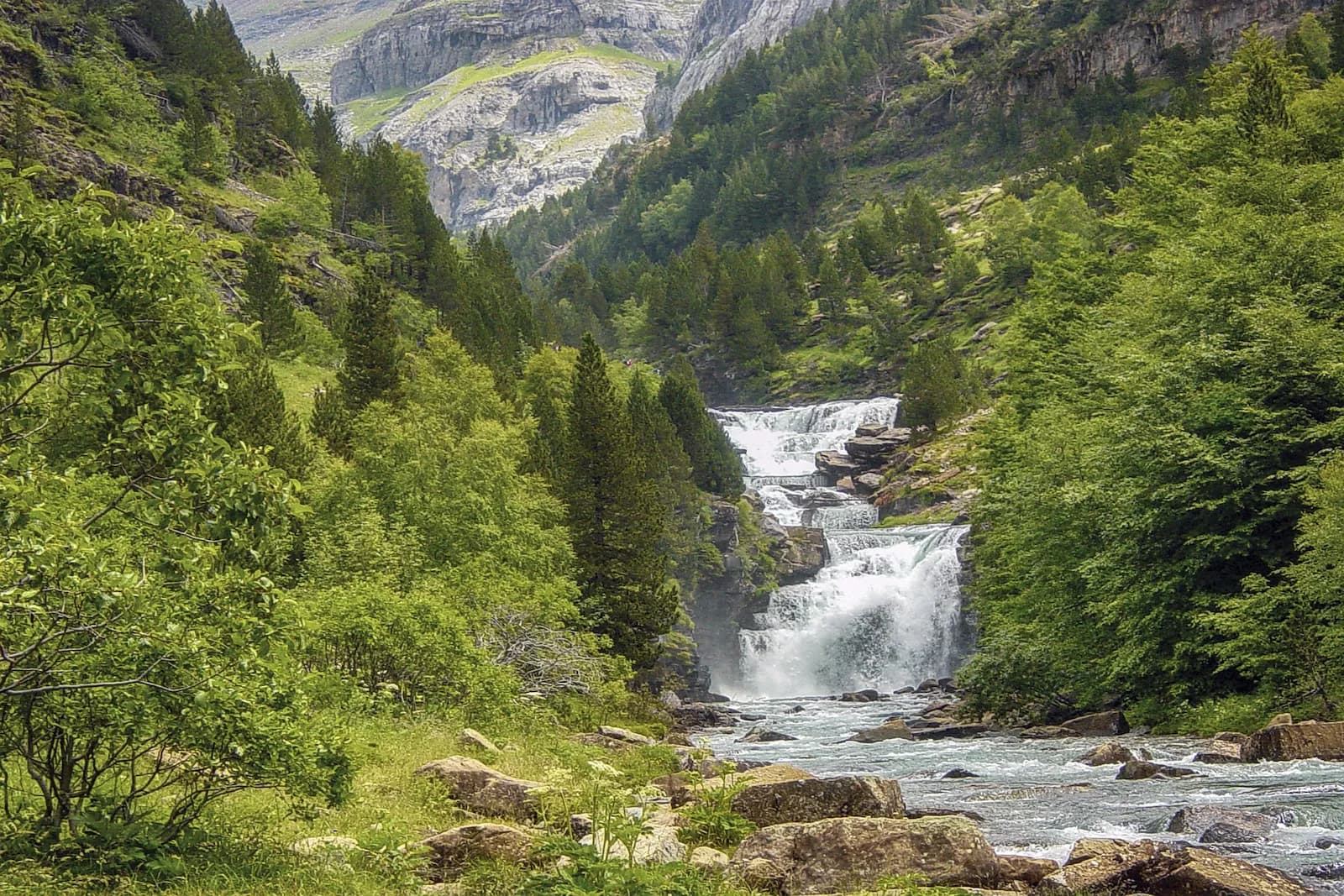 Photo du projet de reforestation : Reforestation des Pyrénées