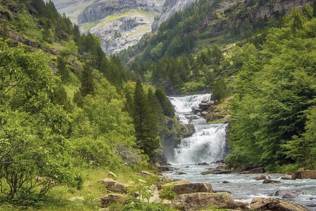 Reforestation des Pyrénées
