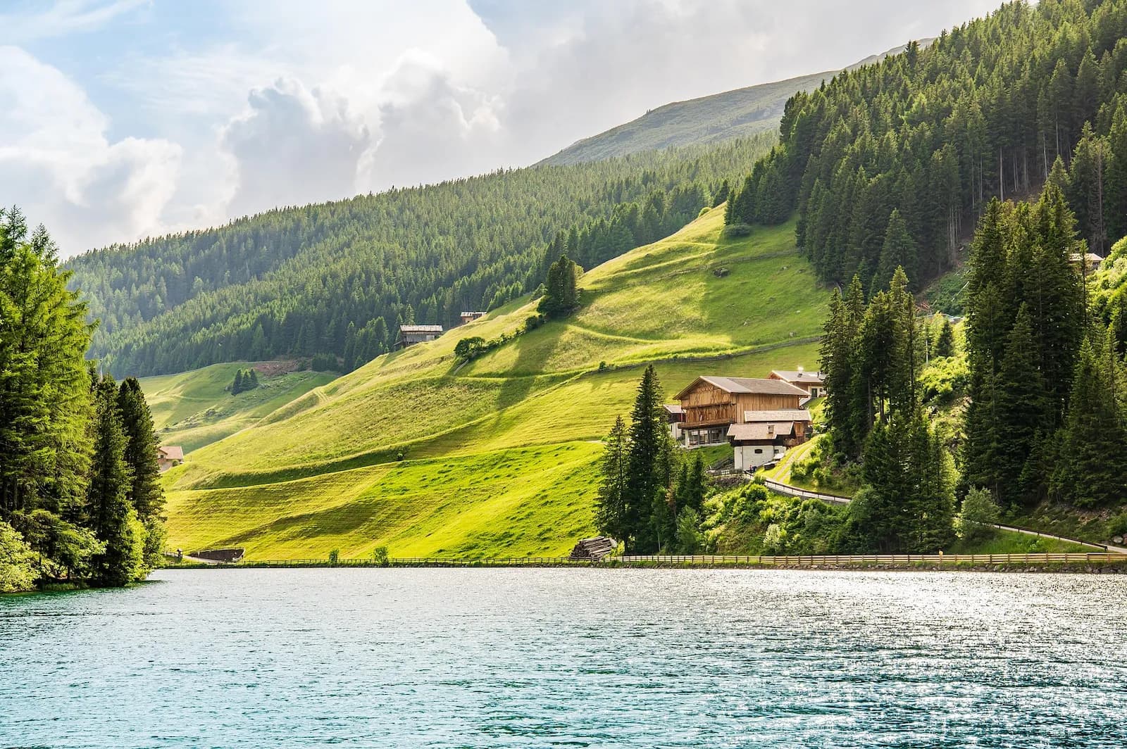 Photo du projet de reforestation : Restauration forestière dans les Alpes